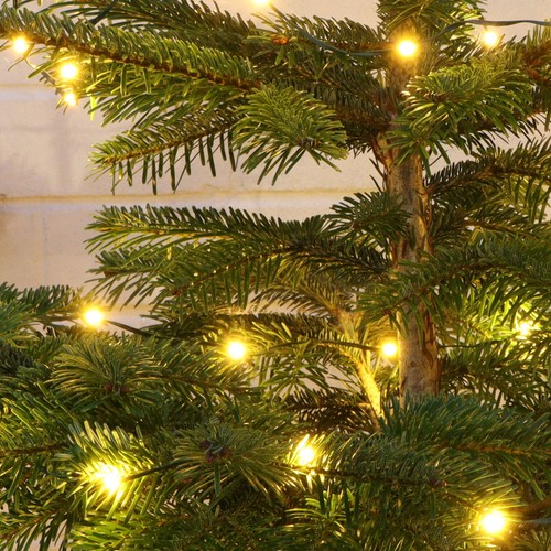 Qbis luci natale esterno - luci,