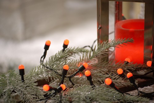 Fata natale bacche rosse - fata, di